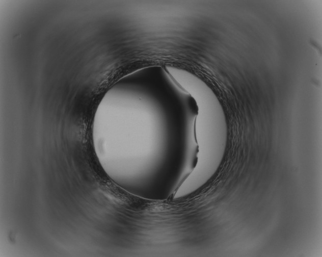 X0000091240750200709061540