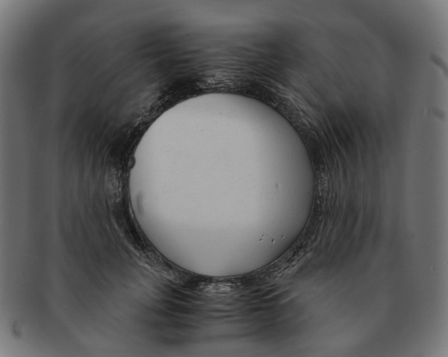 X0000091240751200709061540