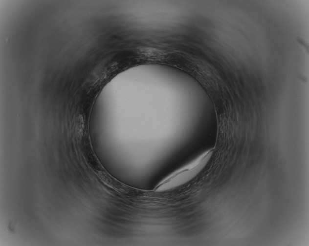 X0000091240752200709061540