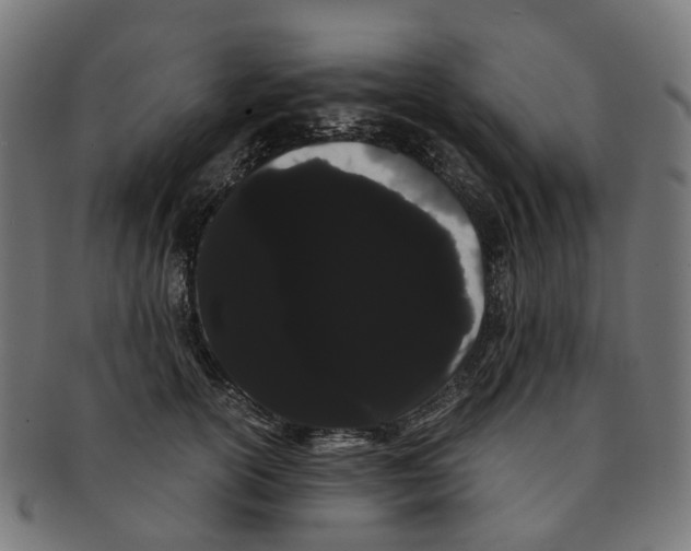X0000091240754200709061540