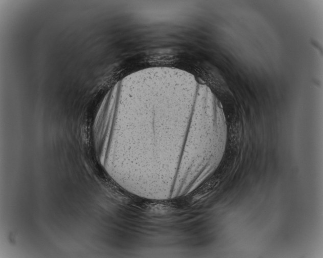 X0000091240755200709061540