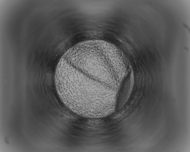 X0000091240757200709061540