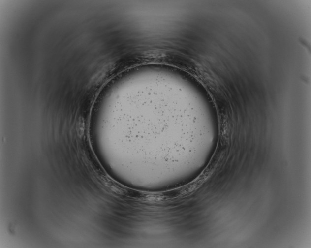 X0000091240758200709061540