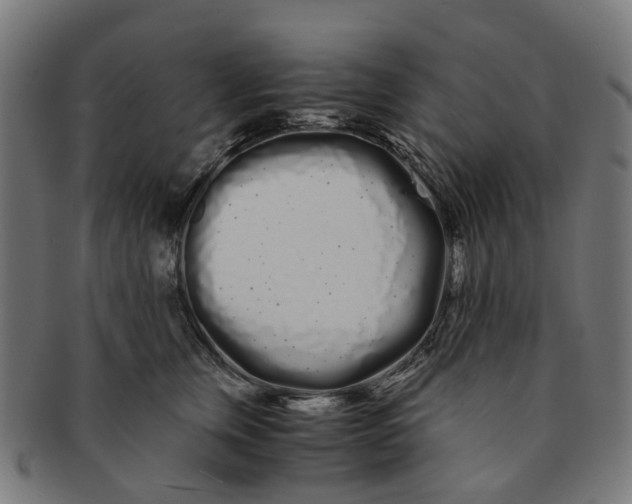X0000091240759200709061540