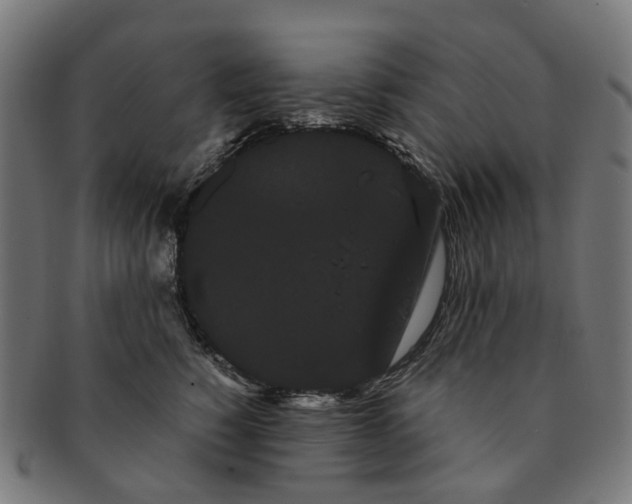 X0000091240760200709061540