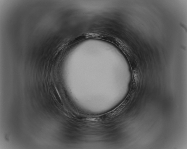 X0000091240761200709061540
