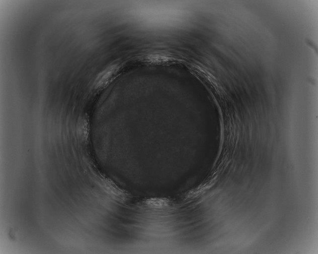 X0000091240762200709061540