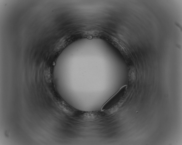 X0000091240764200709061540