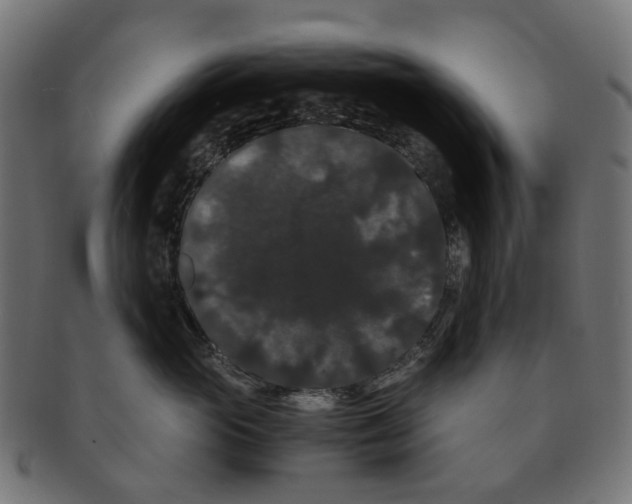 X0000091240765200709061540