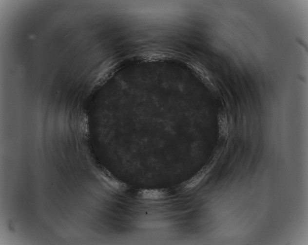 X0000091240766200709061540