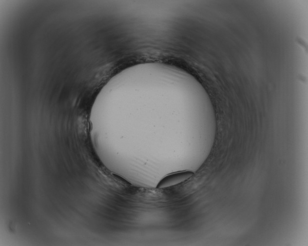 X0000091240768200709061540