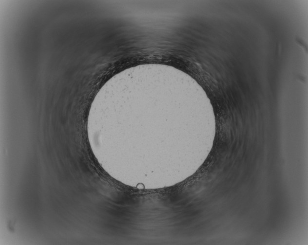 X0000091240769200709061539