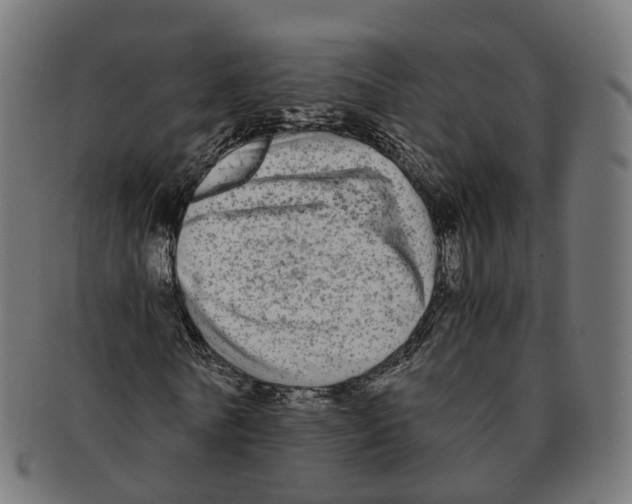 X0000091240770200709061539