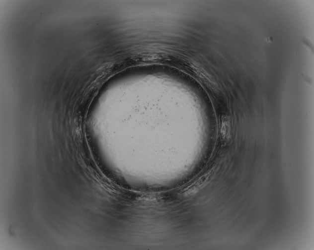 X0000091240771200709061539