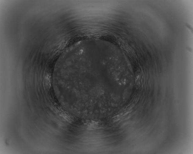 X0000091240772200709061539
