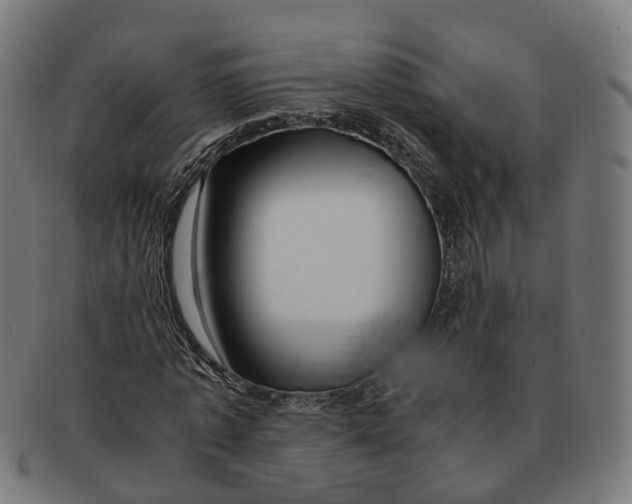 X0000091240773200709061539