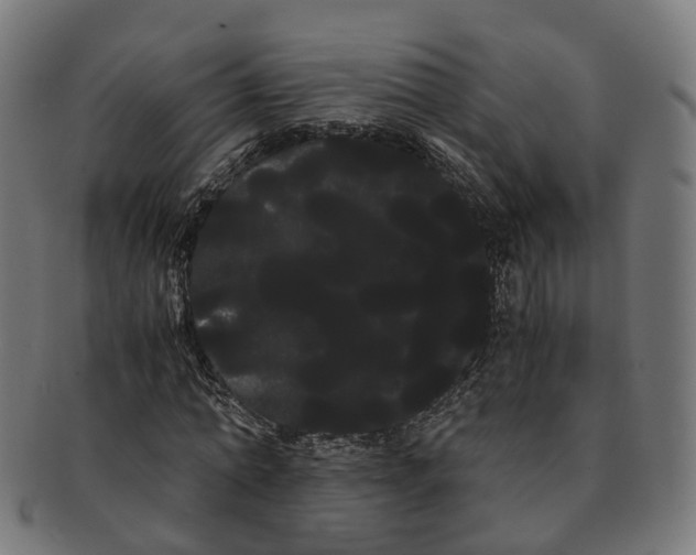 X0000091240774200709061539