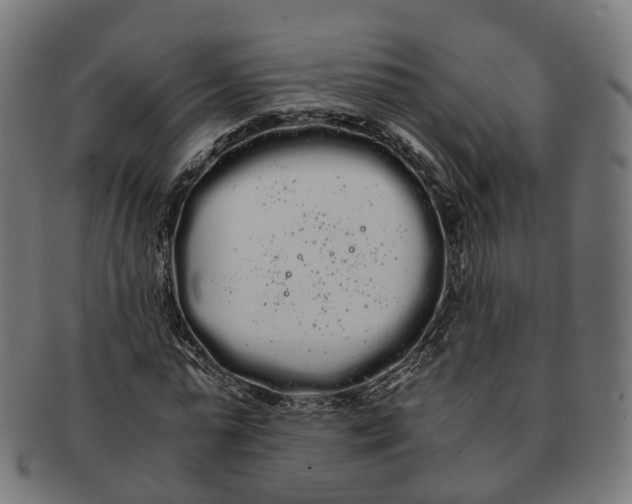 X0000091240775200709061539