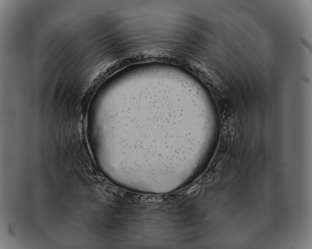 X0000091240776200709061539