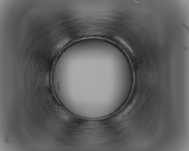 X0000091240777200709061539