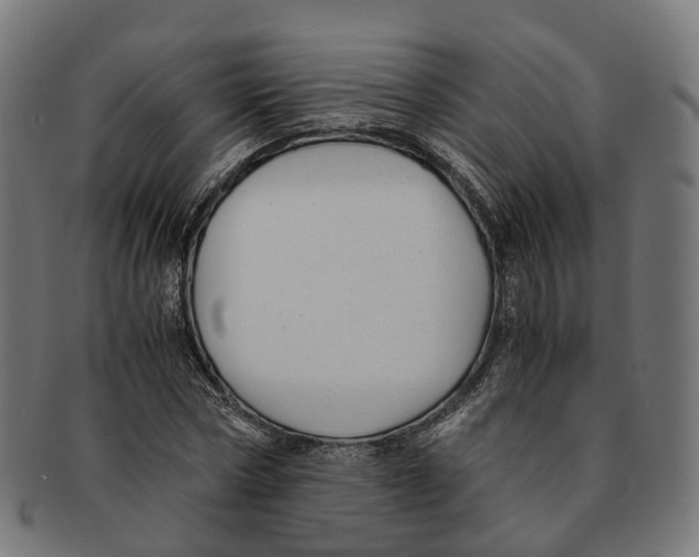 X0000091240778200709061539