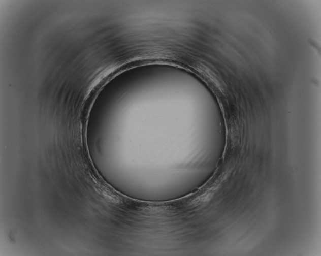 X0000091240781200709061539