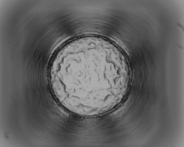 X0000091240782200709061539