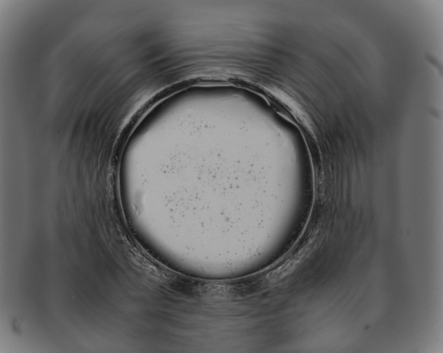 X0000091240783200709061539