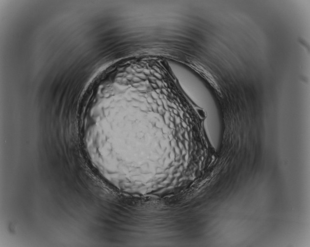 X0000091240784200709061539