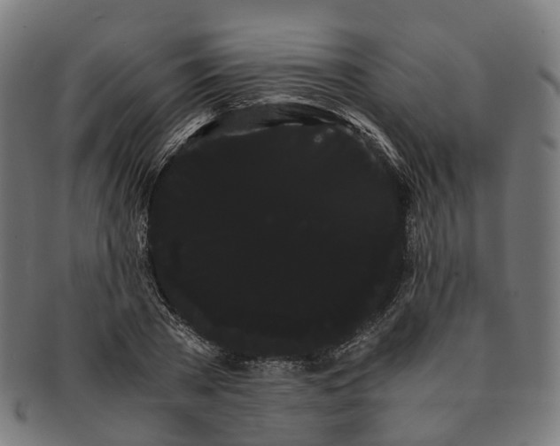 X0000091240785200709061539