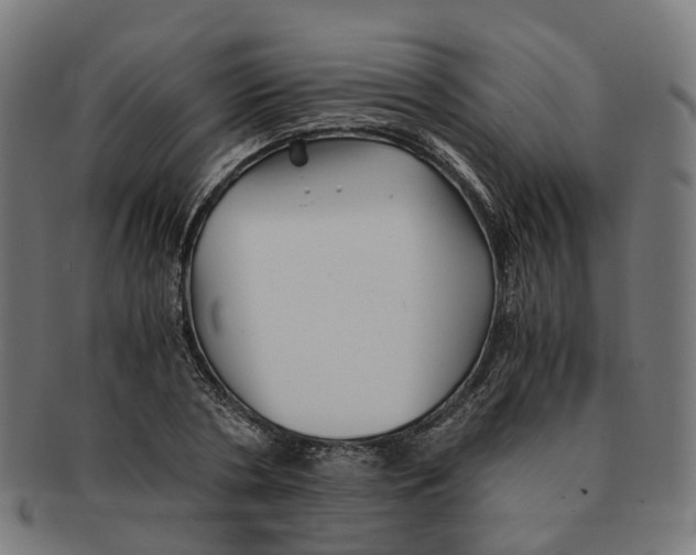 X0000091240786200709061539
