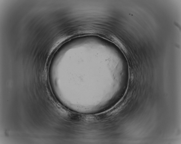X0000091240787200709061539