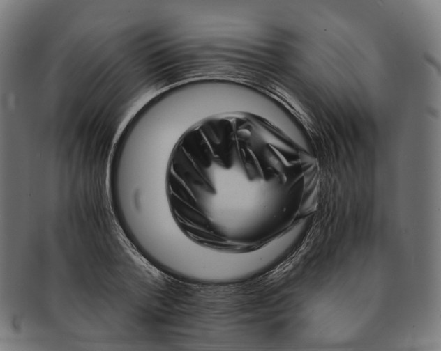 X0000091240788200709061539
