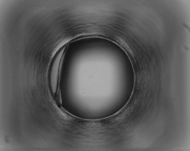 X0000091240789200709061539
