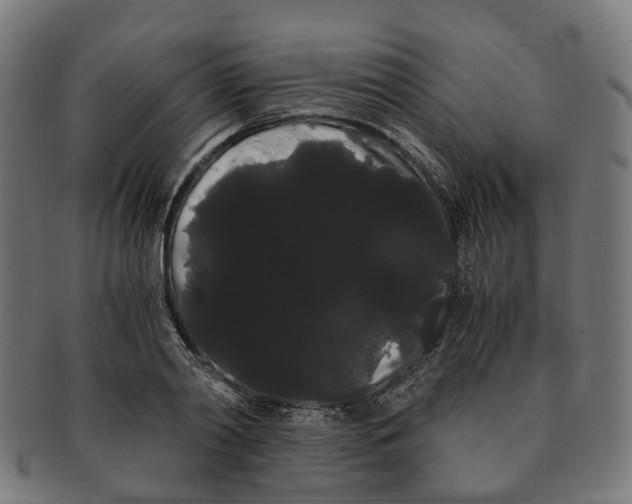 X0000091240790200709061539