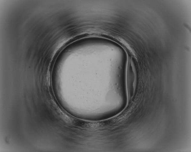 X0000091240791200709061539
