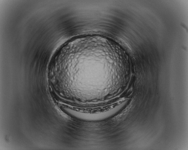 X0000091240792200709061539