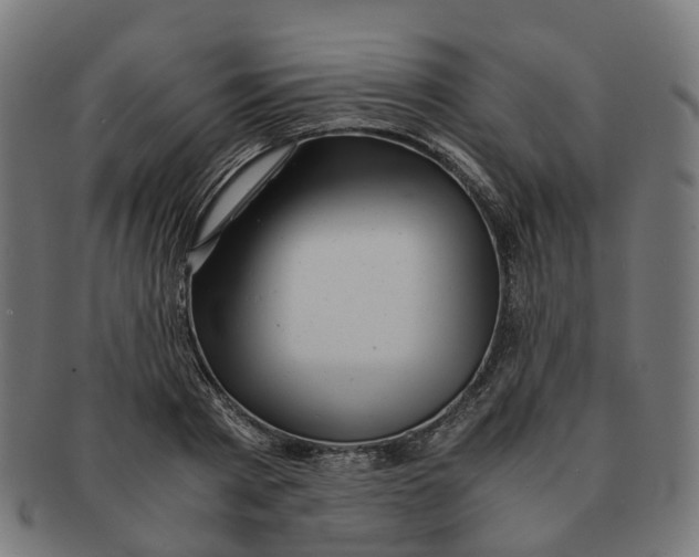 X0000091240793200709061539