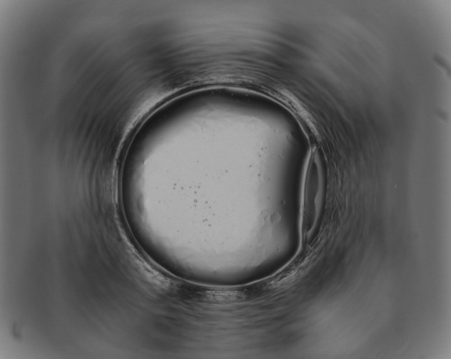 X0000091240795200709061539