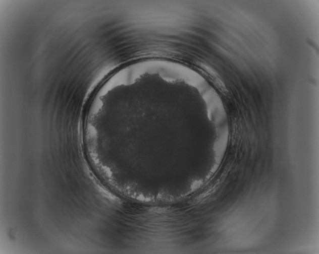 X0000091240796200709061539