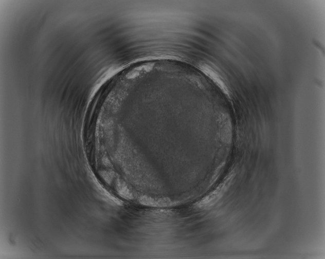 X0000091240797200709061539