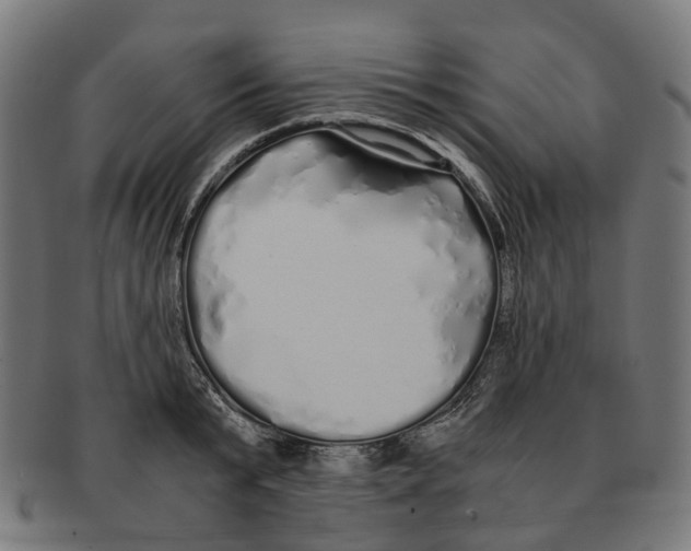 X0000091240799200709061539