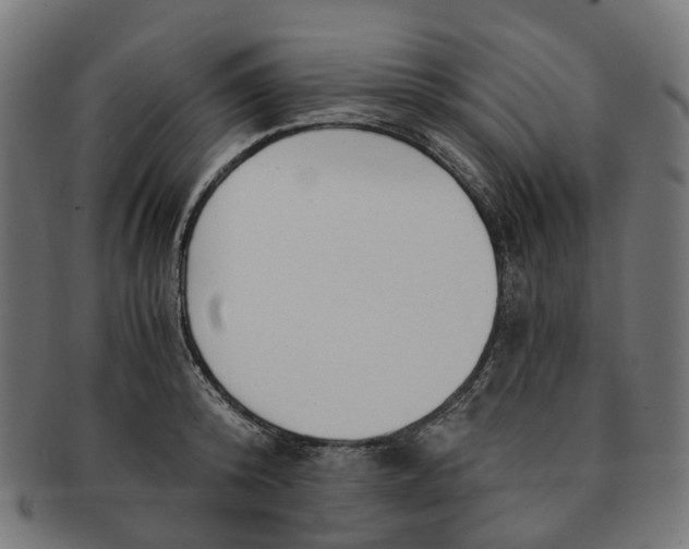 X0000091240800200709061539