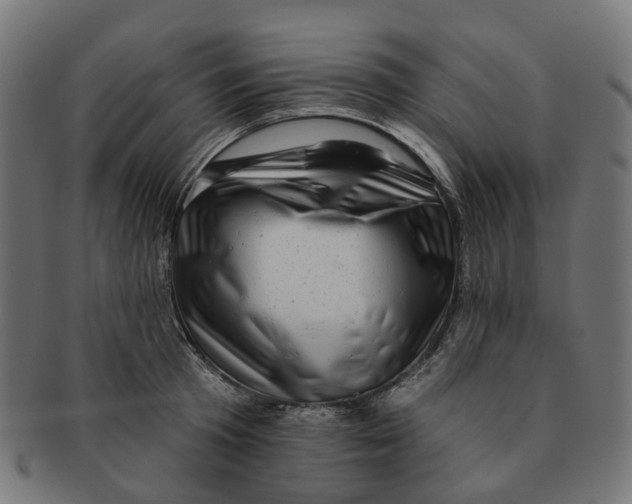 X0000091240801200709061539