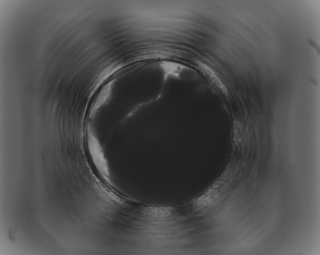 X0000091240802200709061539