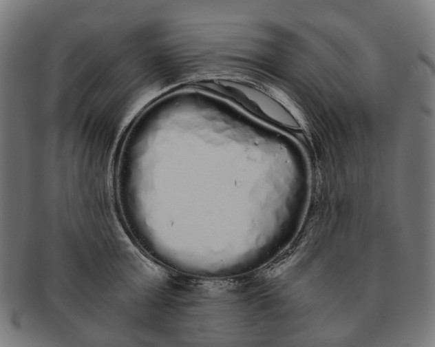 X0000091240803200709061539