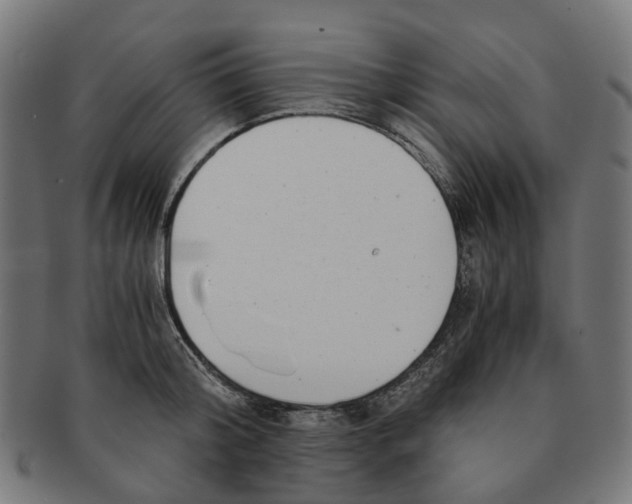 X0000091240804200709061539