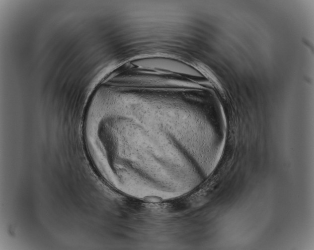 X0000091240805200709061539