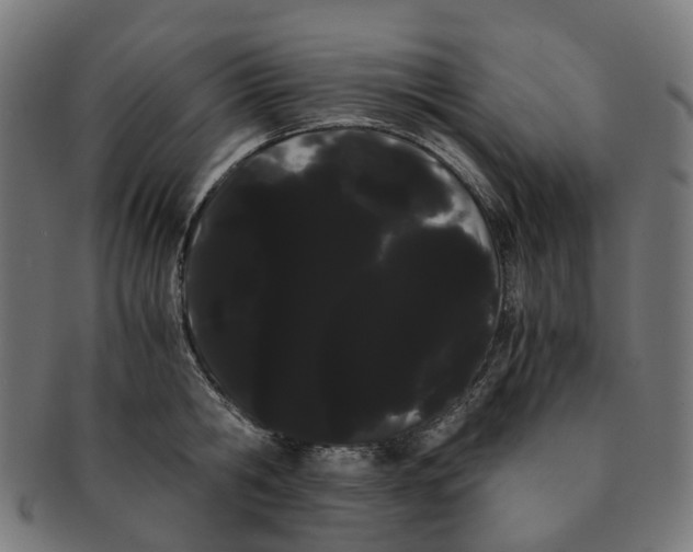 X0000091240806200709061539