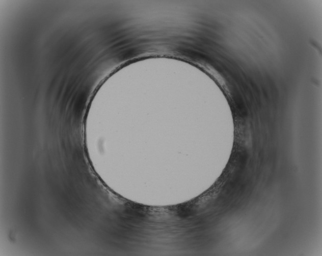 X0000091240807200709061539